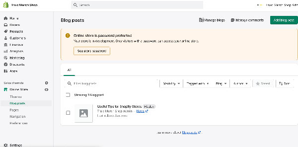 Shopify SEO.
